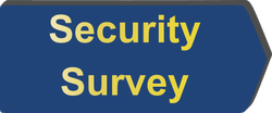 Free Security Survey